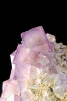 Fluorine d'Arbouet